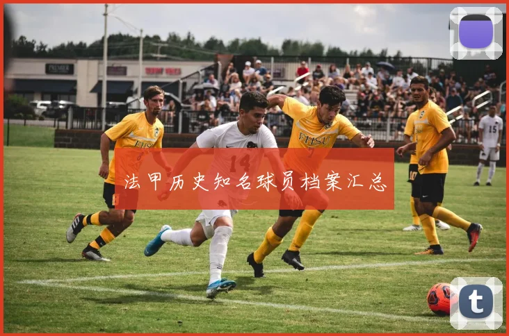 法甲历史知名球员档案汇总