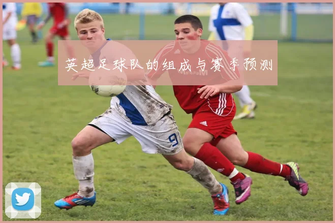 英超足球队的组成与赛季预测