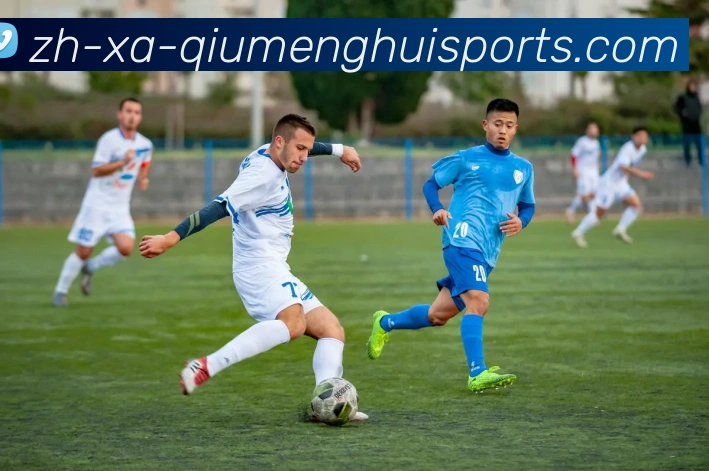 球盟会平台生态图